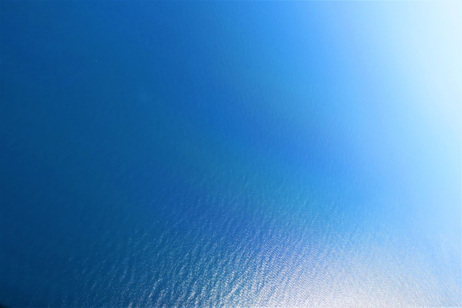 Canon PowerShot G7 X sample photo. Background, nature, marine photography