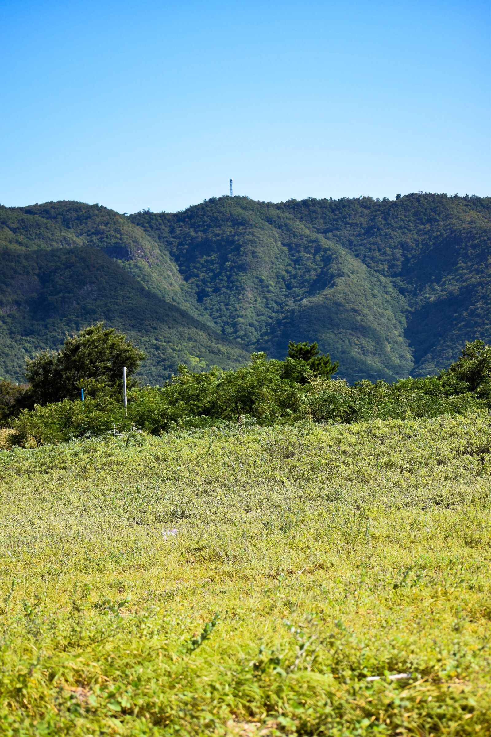 Nikon D5300 sample photo. Mountain, grass, natural photography
