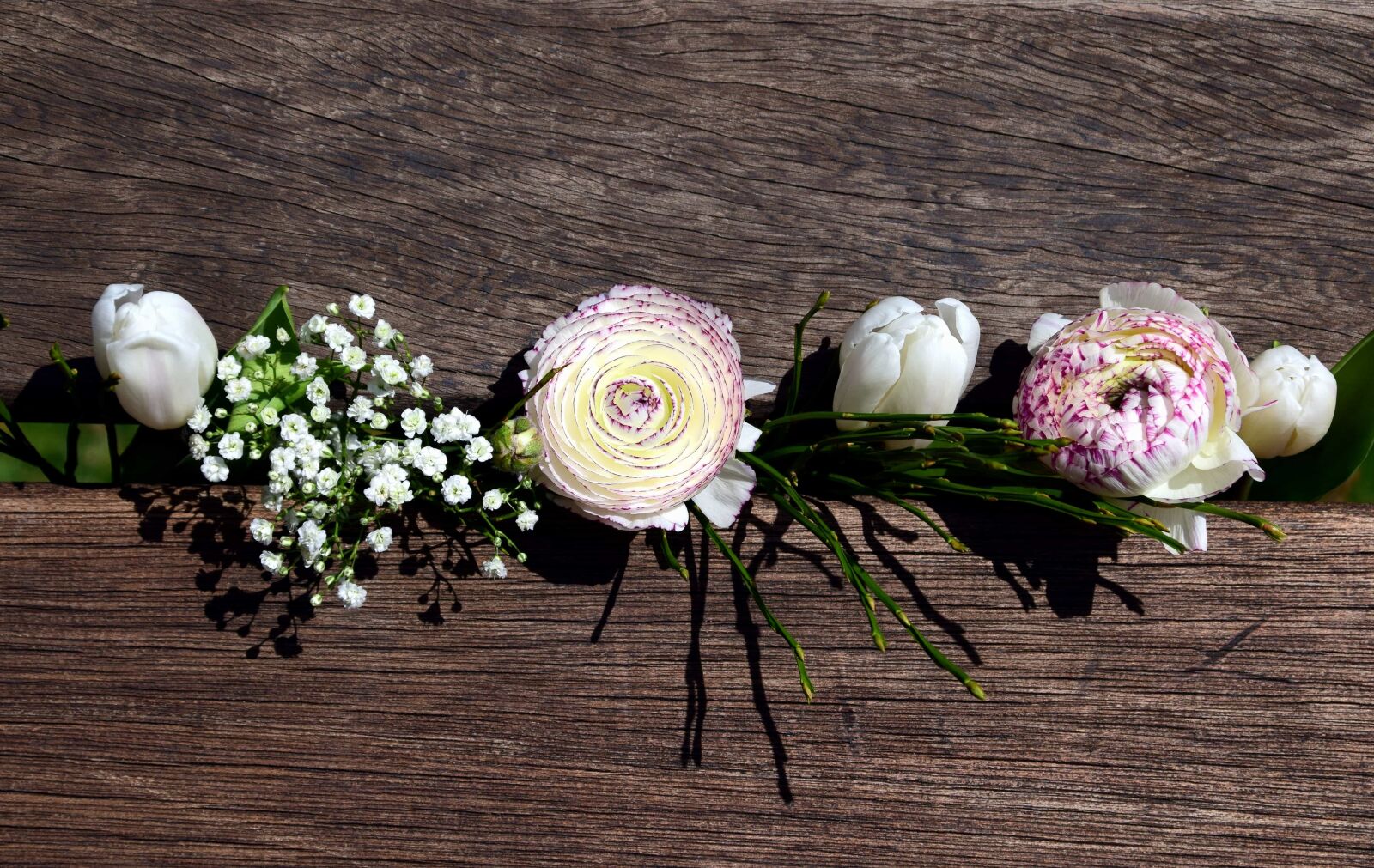 Nikon D3300 sample photo. Wood, nature, flower, arrangement photography