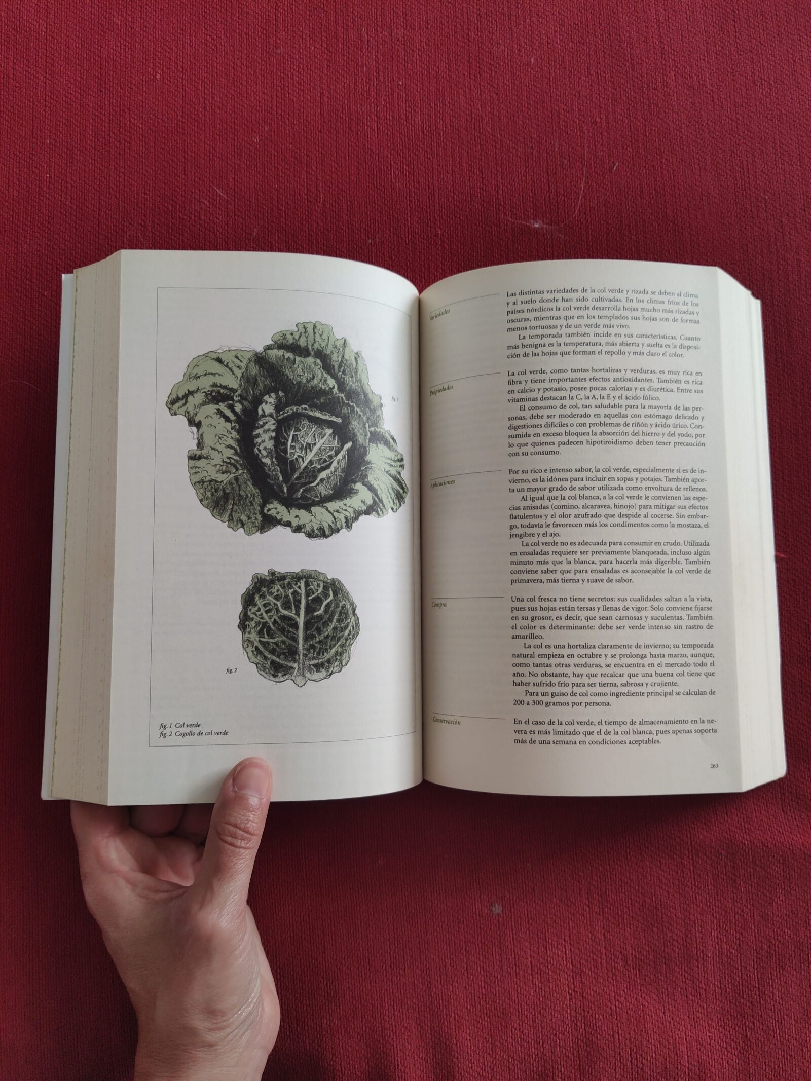 Xiaomi MI 9 sample photo. Book, red, hand photography