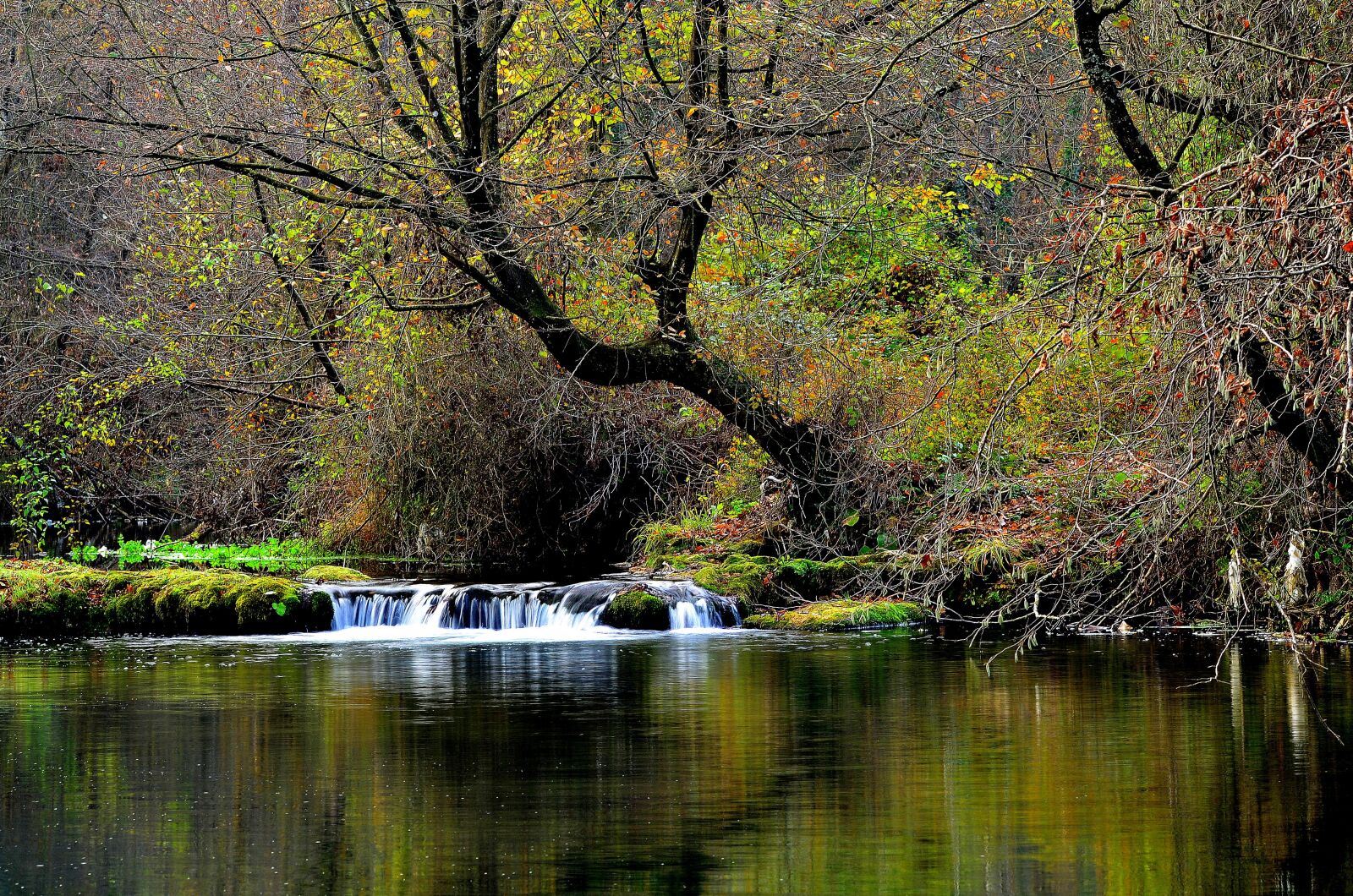 Nikon D5100 sample photo. Nature, turkey, forest photography