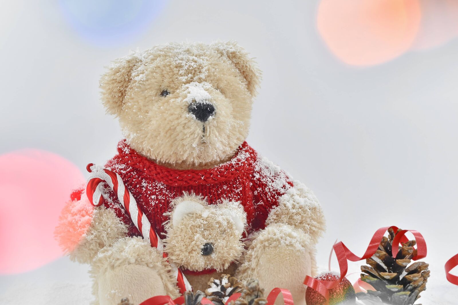 Nikon D5500 sample photo. Christian, christmas, holiday, teddy photography