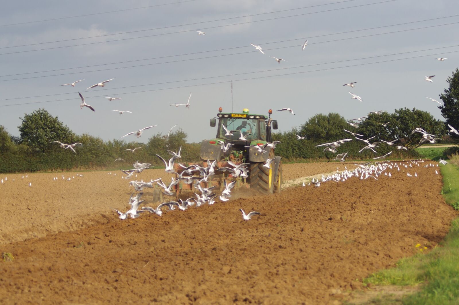 Pentax K-x sample photo. Farming, tractor, plough photography