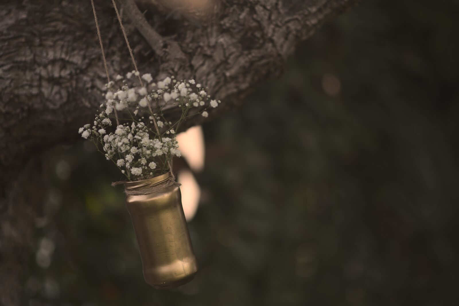 Nikon D750 sample photo. Couple, bebe, nature photography