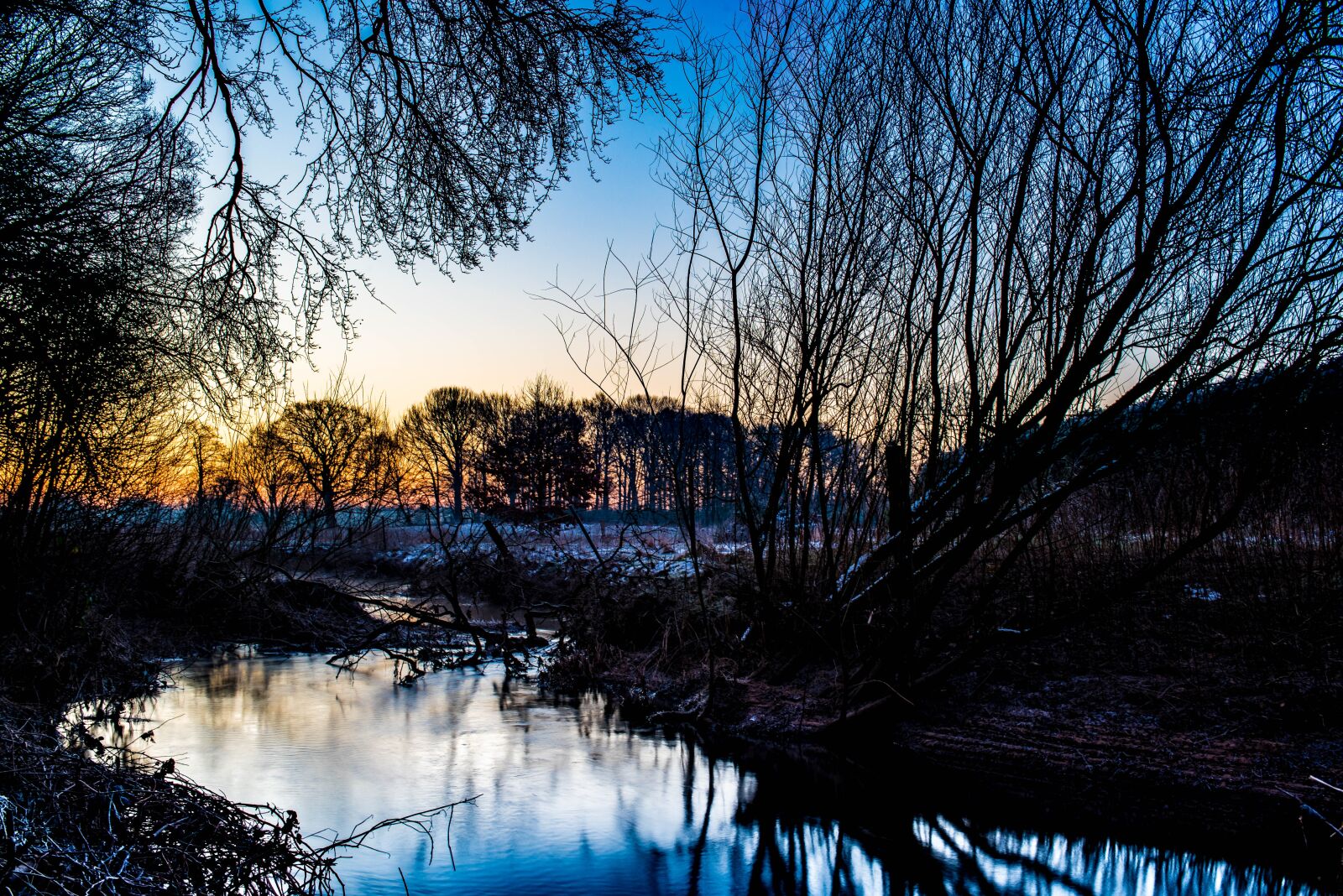 Nikon D750 sample photo. Nature, waters, trees photography