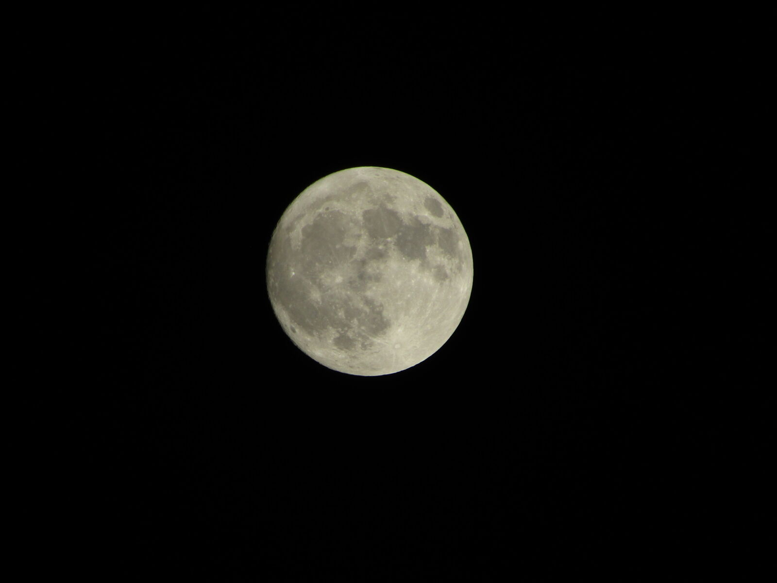 Canon POWERSHOT SX430 IS sample photo