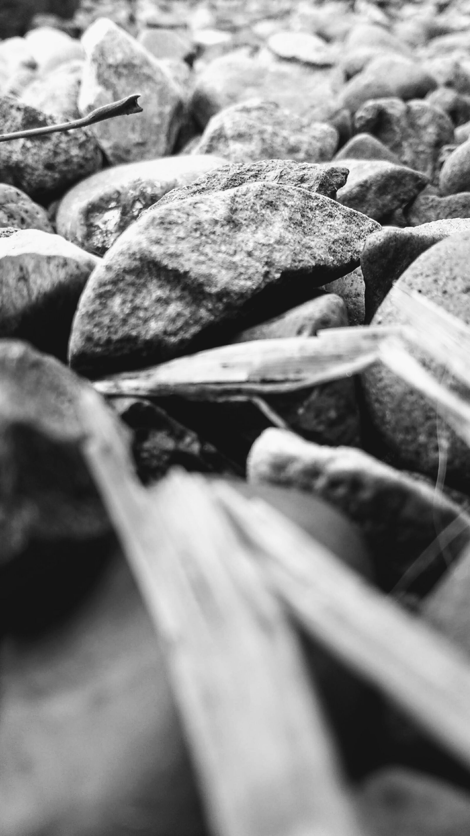 Motorola Moto G (4) sample photo. Rocks, sticks, nature photography