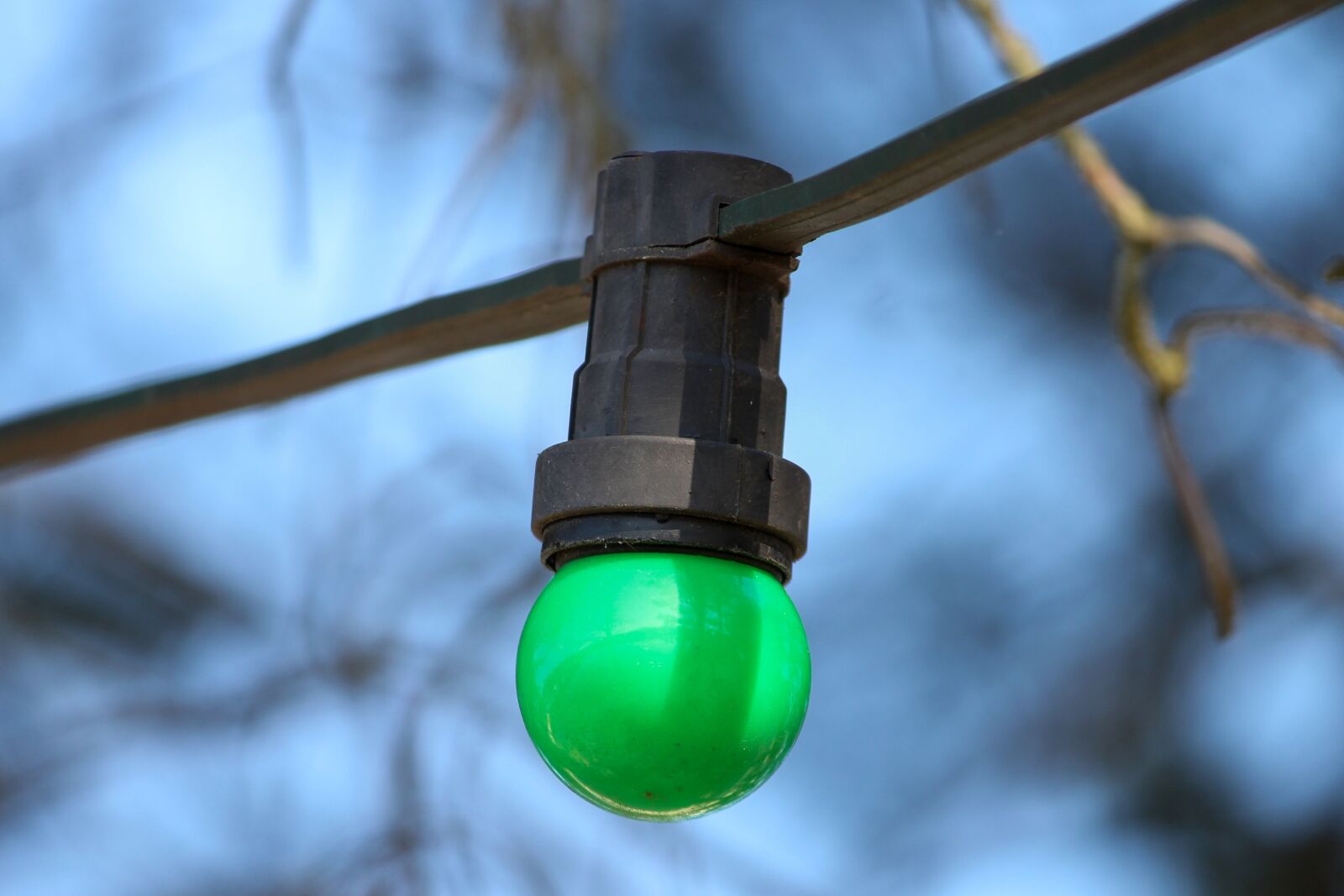 Canon EOS 1100D (EOS Rebel T3 / EOS Kiss X50) sample photo. Light bulb, party, lamp photography