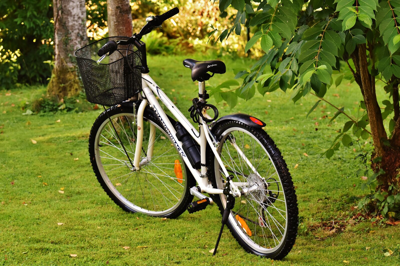 Nikon D7200 sample photo. Bike, cycle, wheel photography
