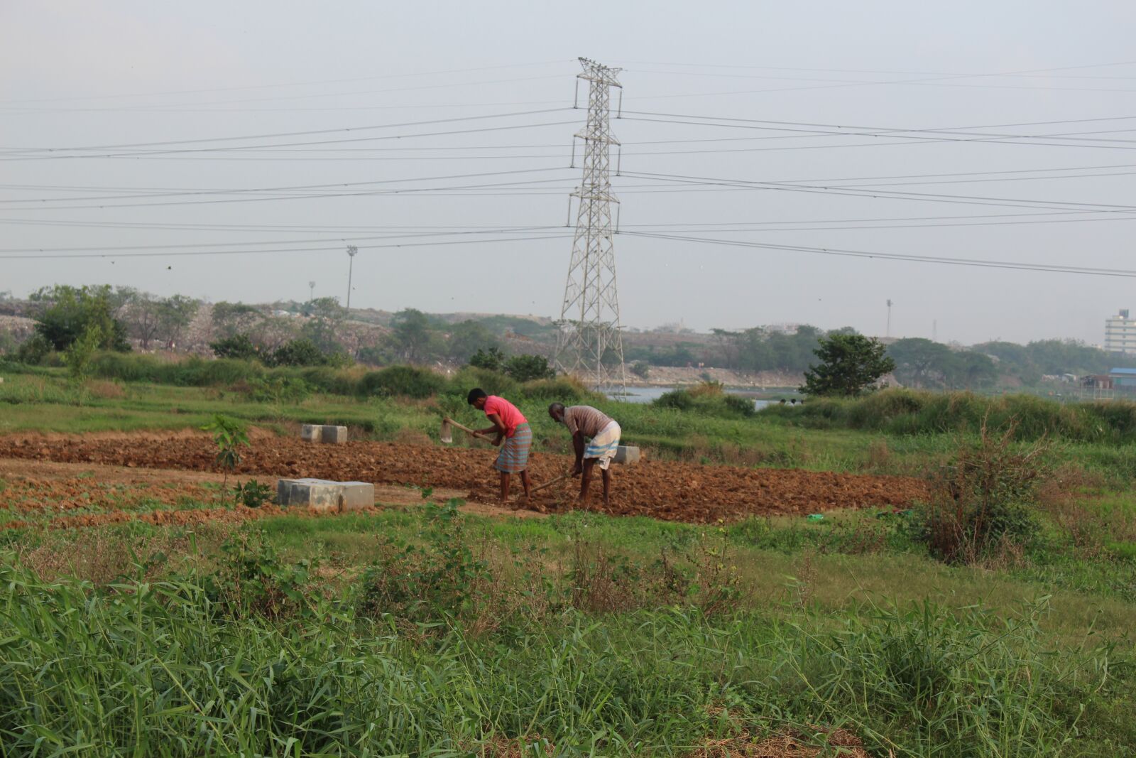 Canon EOS 700D (EOS Rebel T5i / EOS Kiss X7i) sample photo. Nature, environment, field photography