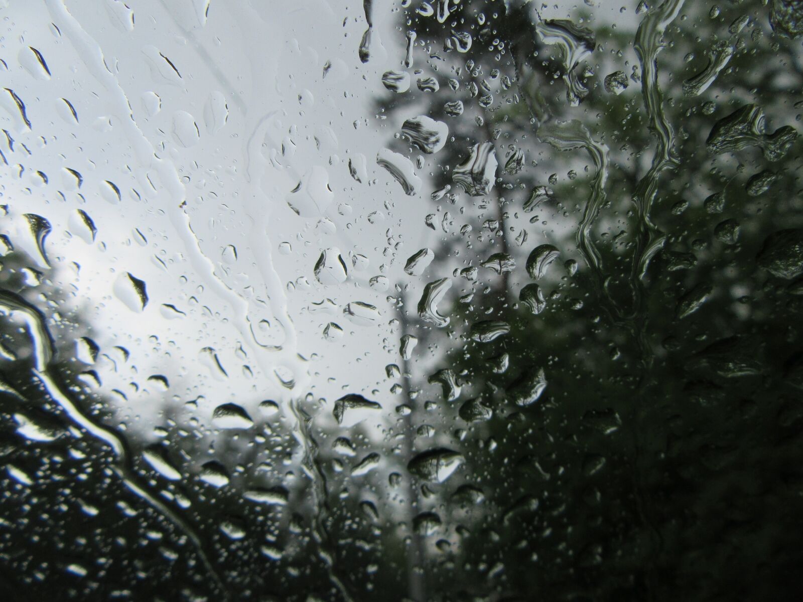 Canon PowerShot SX610 HS sample photo. Rain, water, glass photography