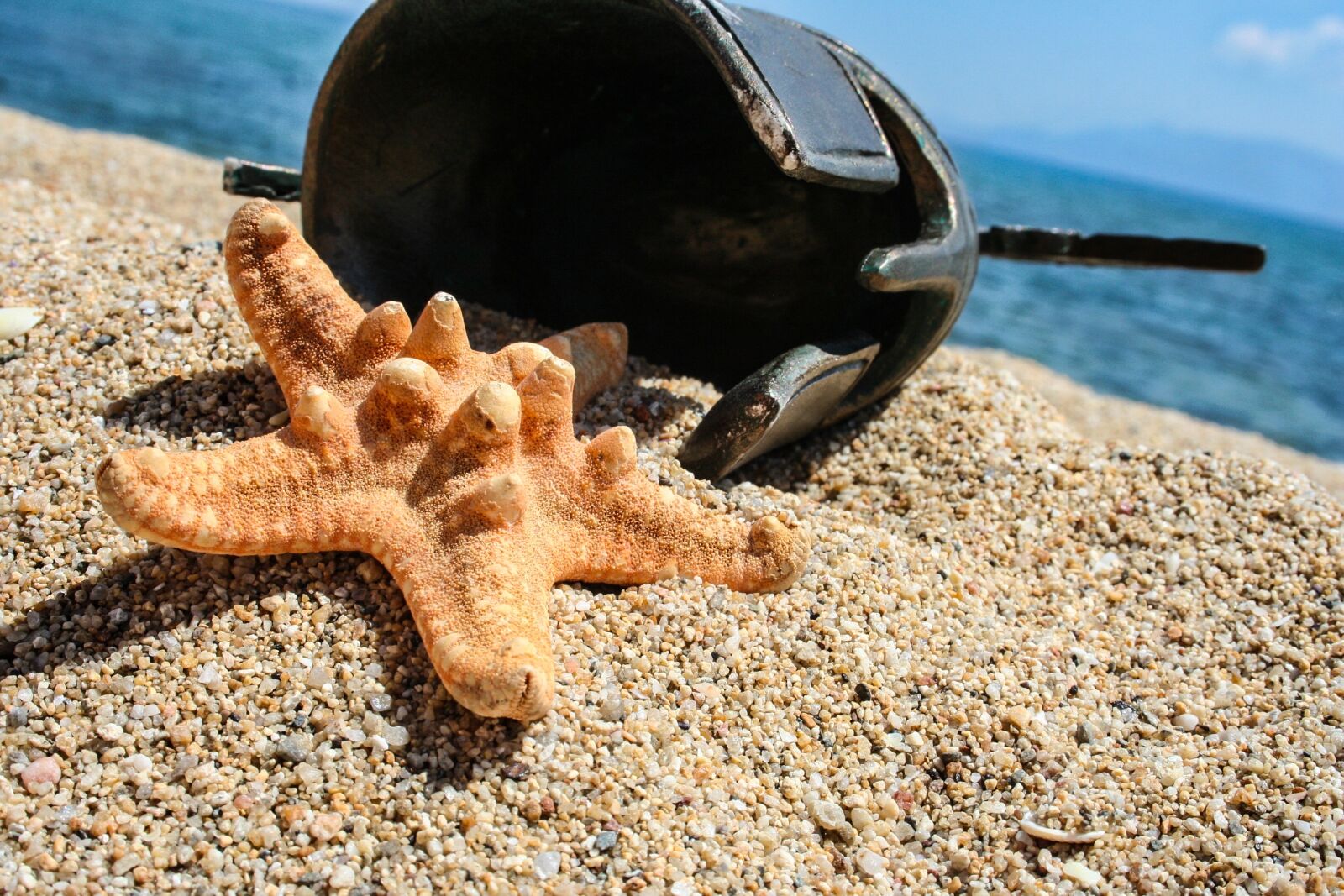 Canon EOS 350D (EOS Digital Rebel XT / EOS Kiss Digital N) sample photo. Sea star, beach, greek photography