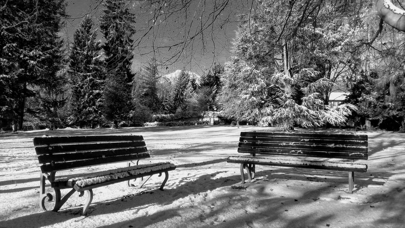 ASUS ZenFone 2 (ZE551ML) sample photo. Winter, park, winter landscape photography