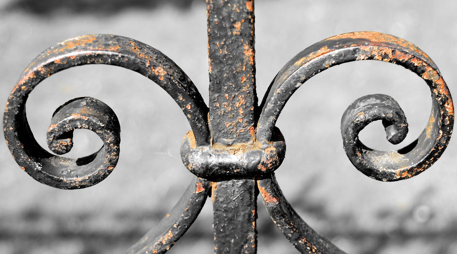 Nikon D5500 sample photo. Cast iron, rust, steel photography