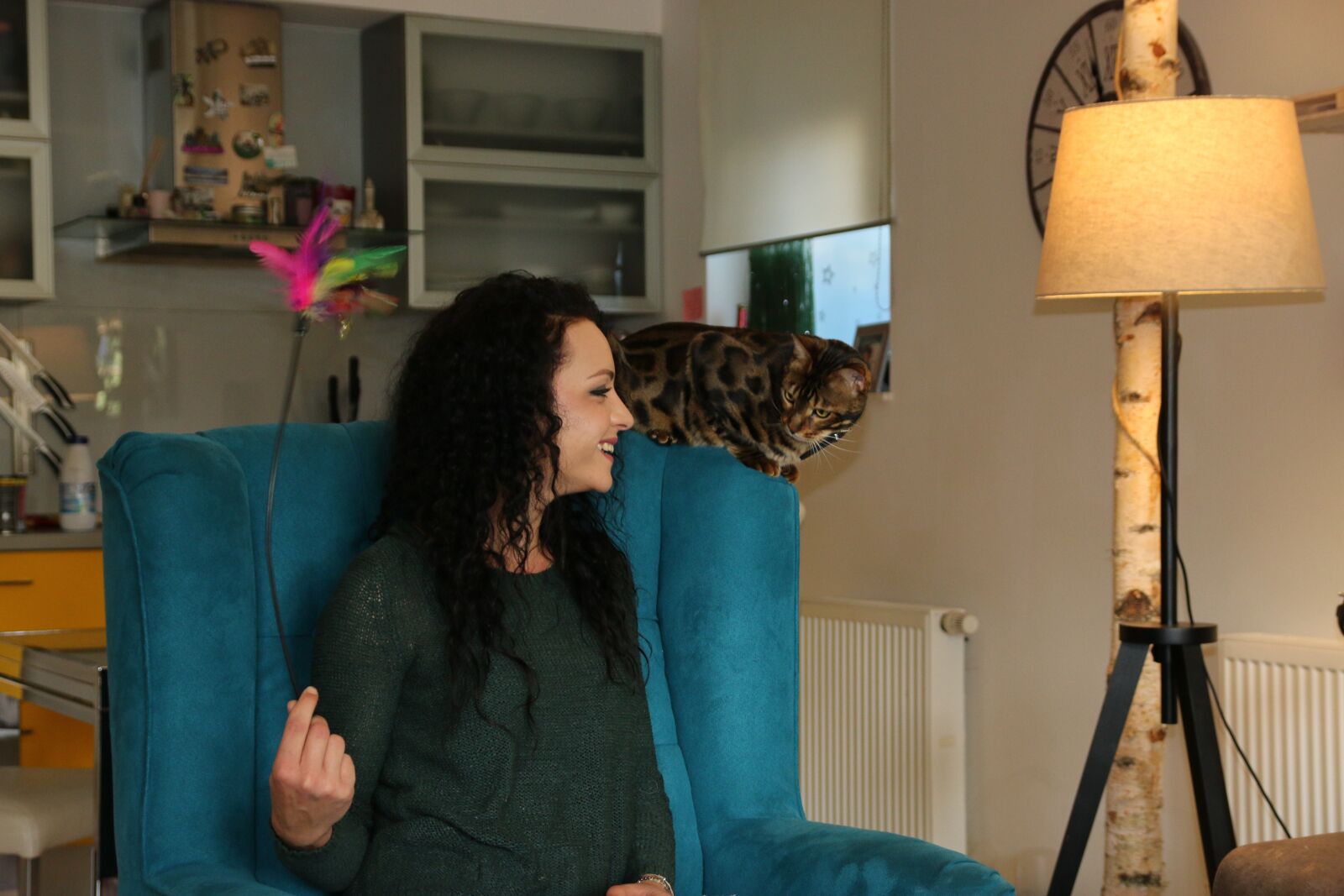 Canon EOS 70D sample photo. Cat, bengal, tiger photography