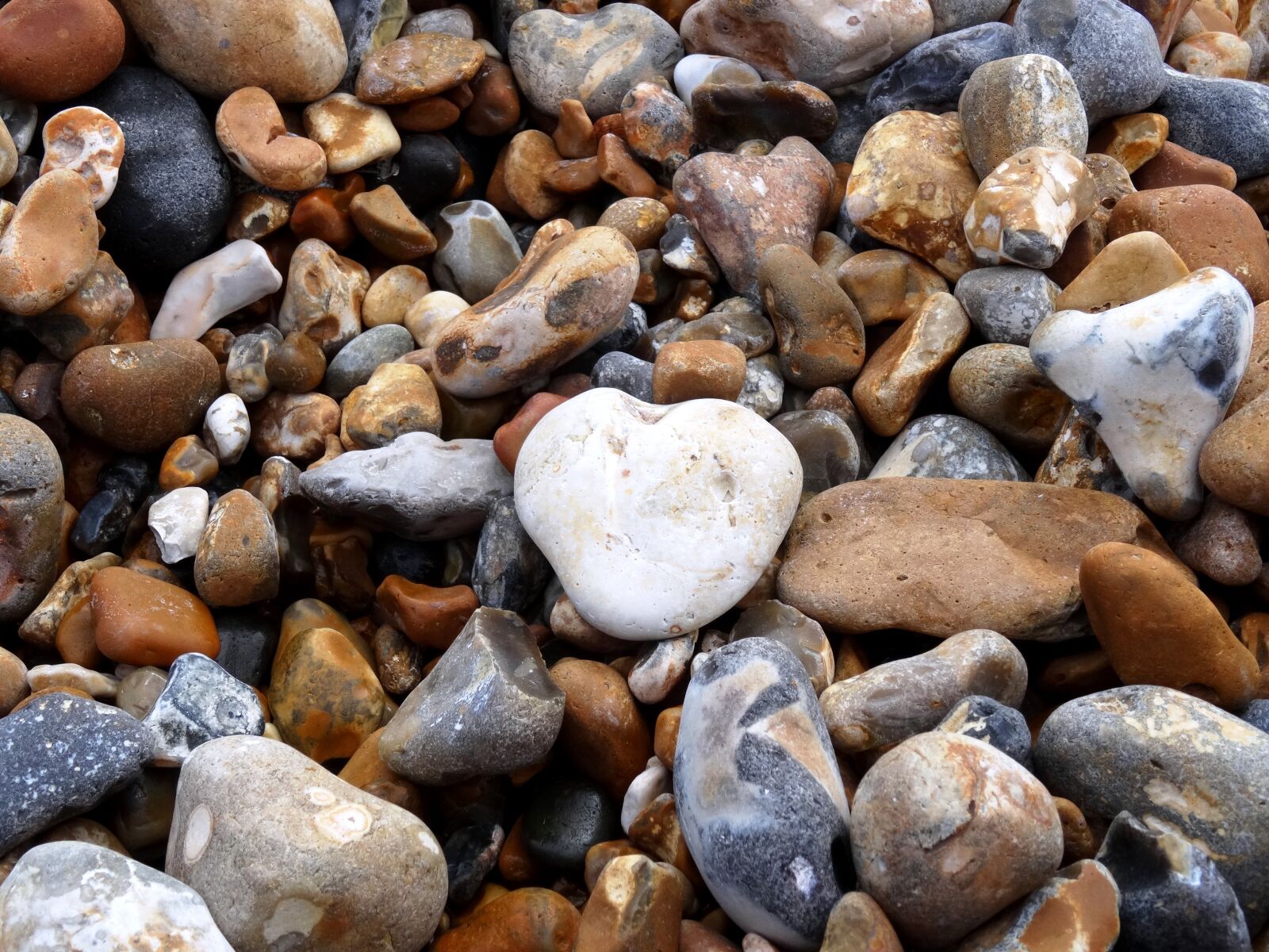Sony Cyber-shot DSC-HX50V sample photo. Stones, bank, sea photography