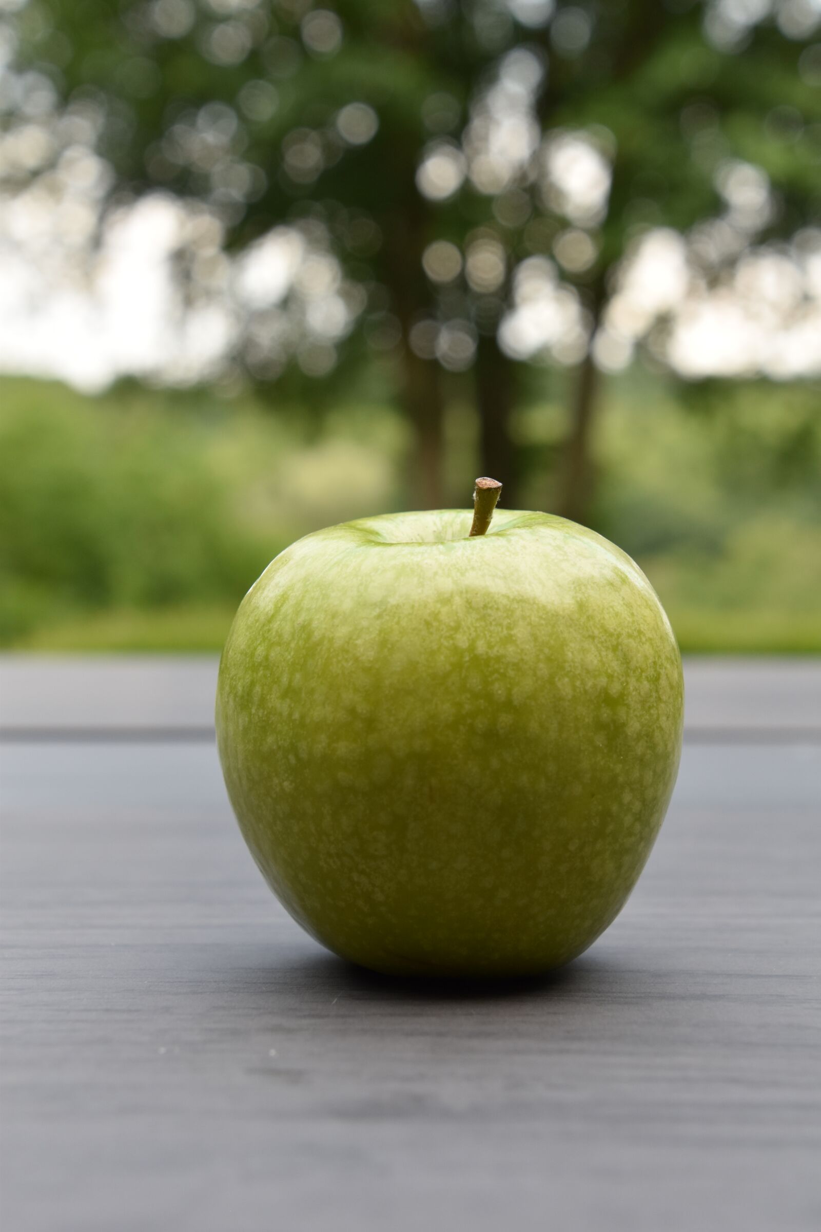 Nikon D5600 sample photo. Fruit, apple, green photography