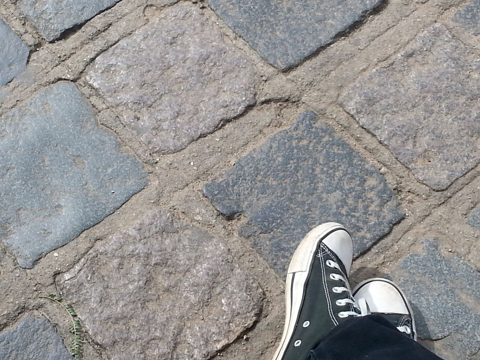 Samsung Galaxy S3 sample photo