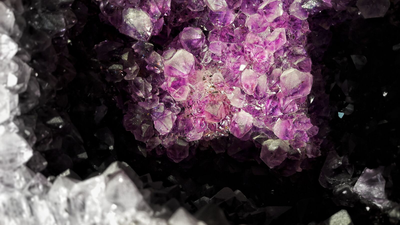 Samsung Galaxy A5(2016) sample photo. Close, up, of, purple photography