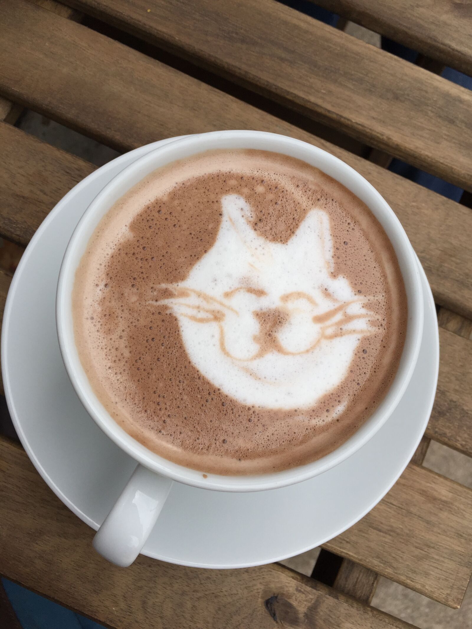 iPhone 6 Plus back camera 4.15mm f/2.2 sample photo. Cat, chocolate, cocoa, coffee photography
