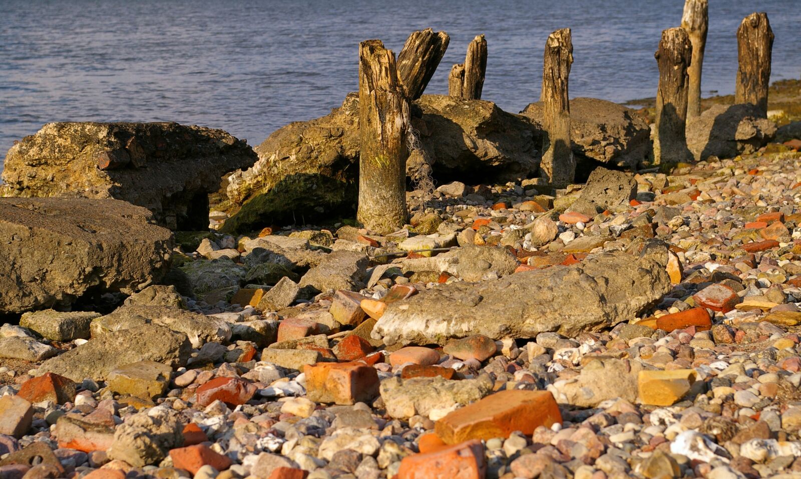 Pentax *ist DL2 sample photo. Walk on the beach photography