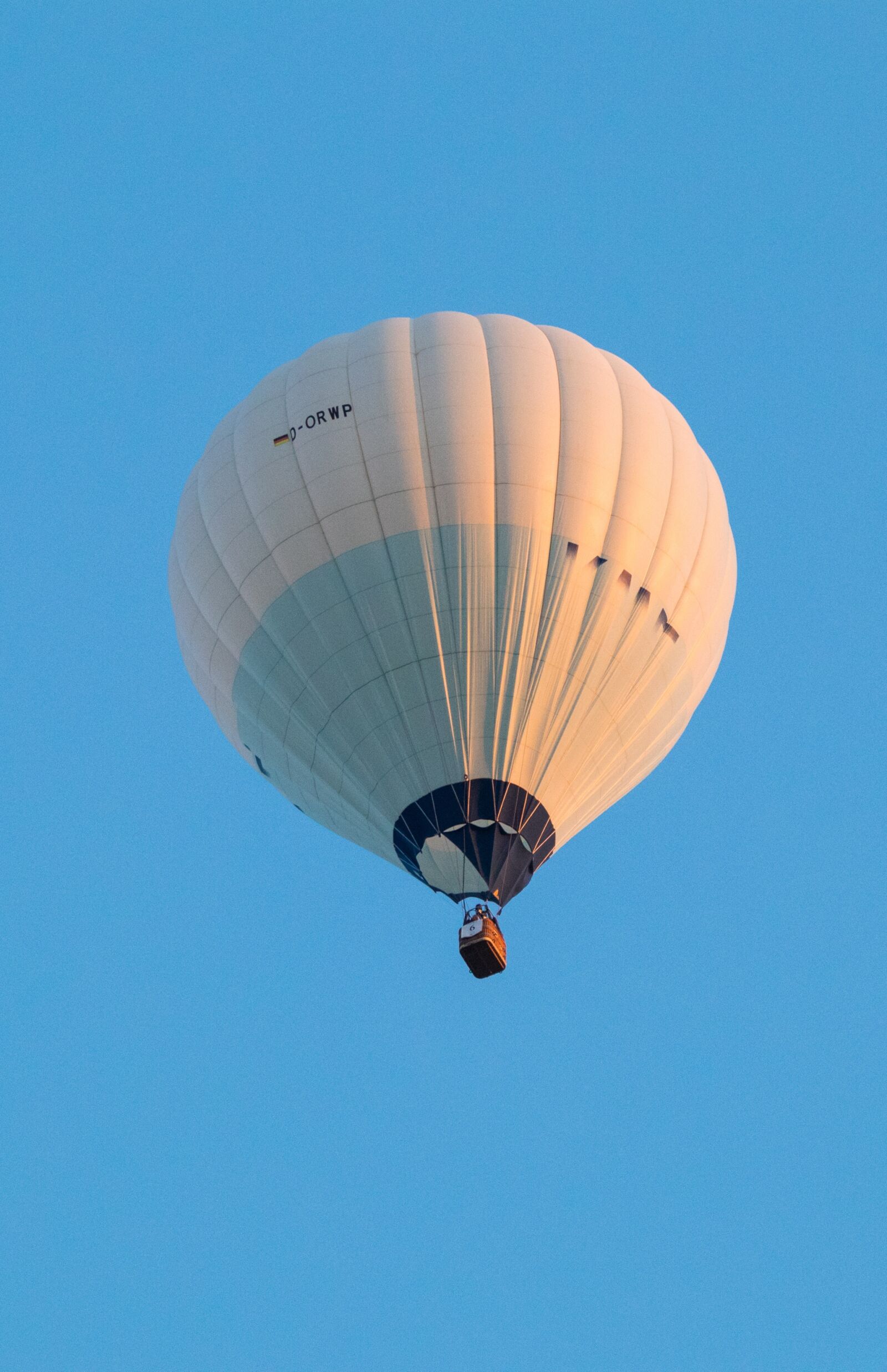 Canon EOS M100 sample photo. Hot air balloon, montgolfiade photography