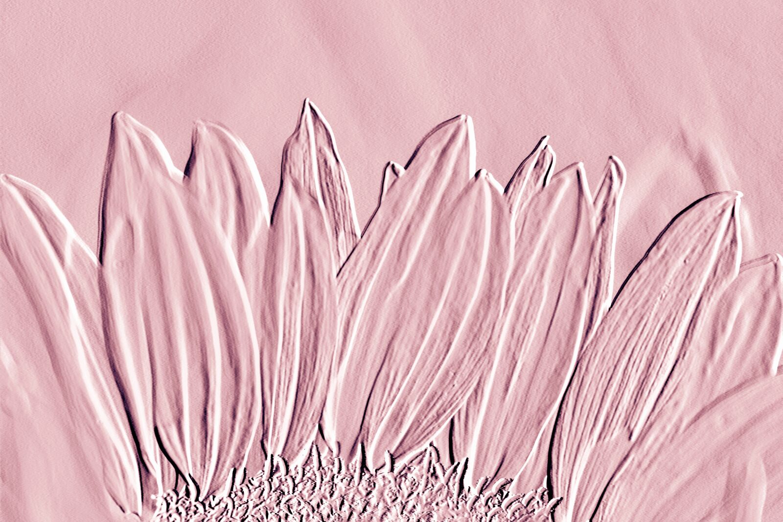 Canon EOS 600D (Rebel EOS T3i / EOS Kiss X5) sample photo. Vintage, background, dusky pink photography