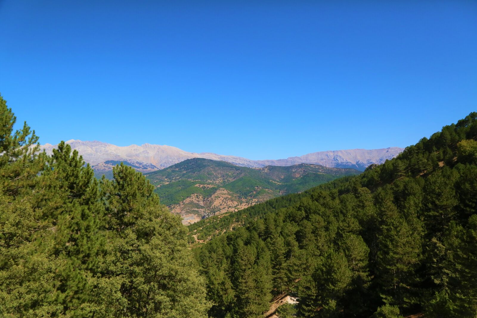 Canon EF 24-105mm F4L IS USM sample photo. Landscape, mountains, nature photography
