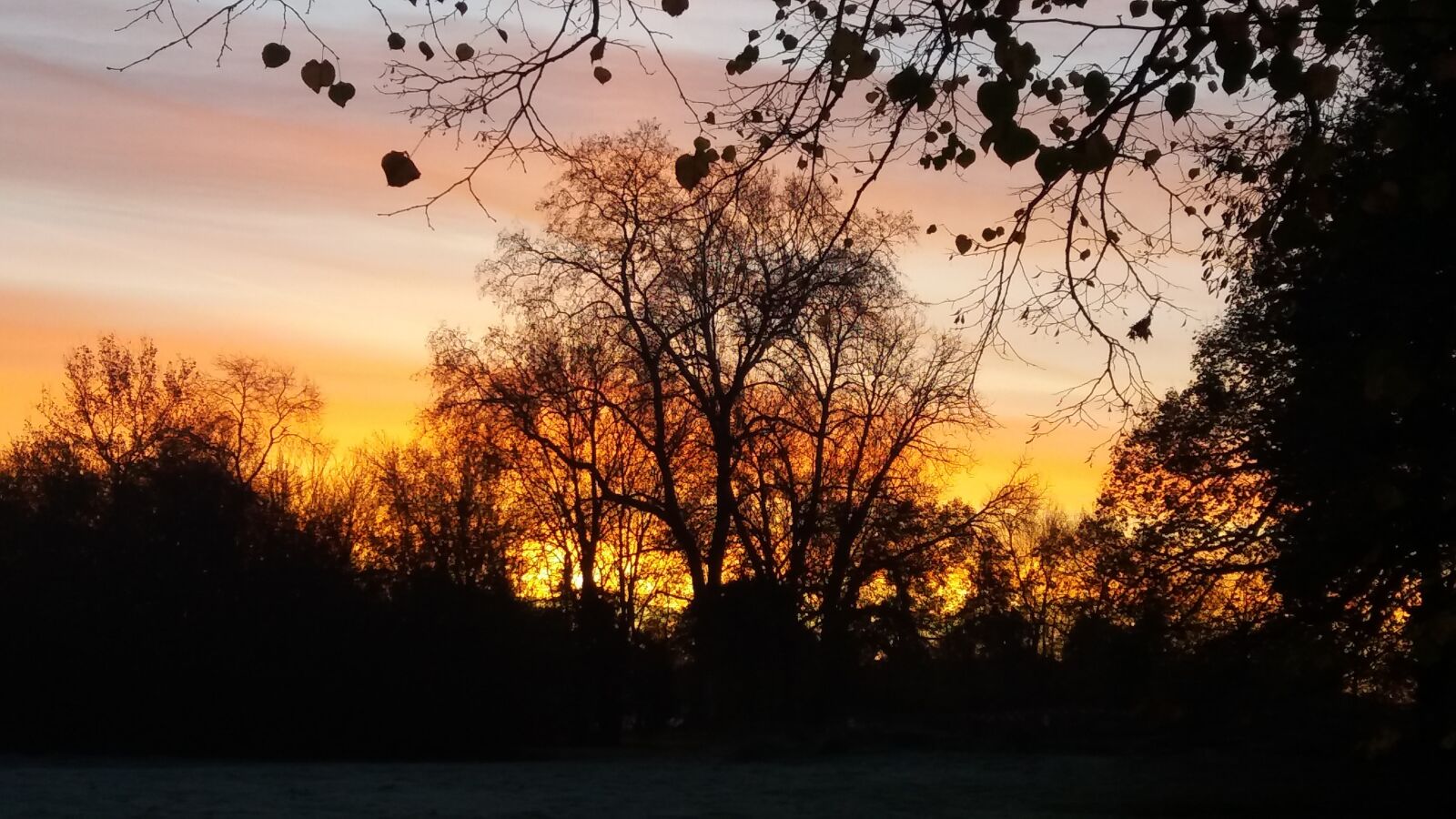 Samsung Galaxy J5 sample photo. Tree, nature, dawn photography