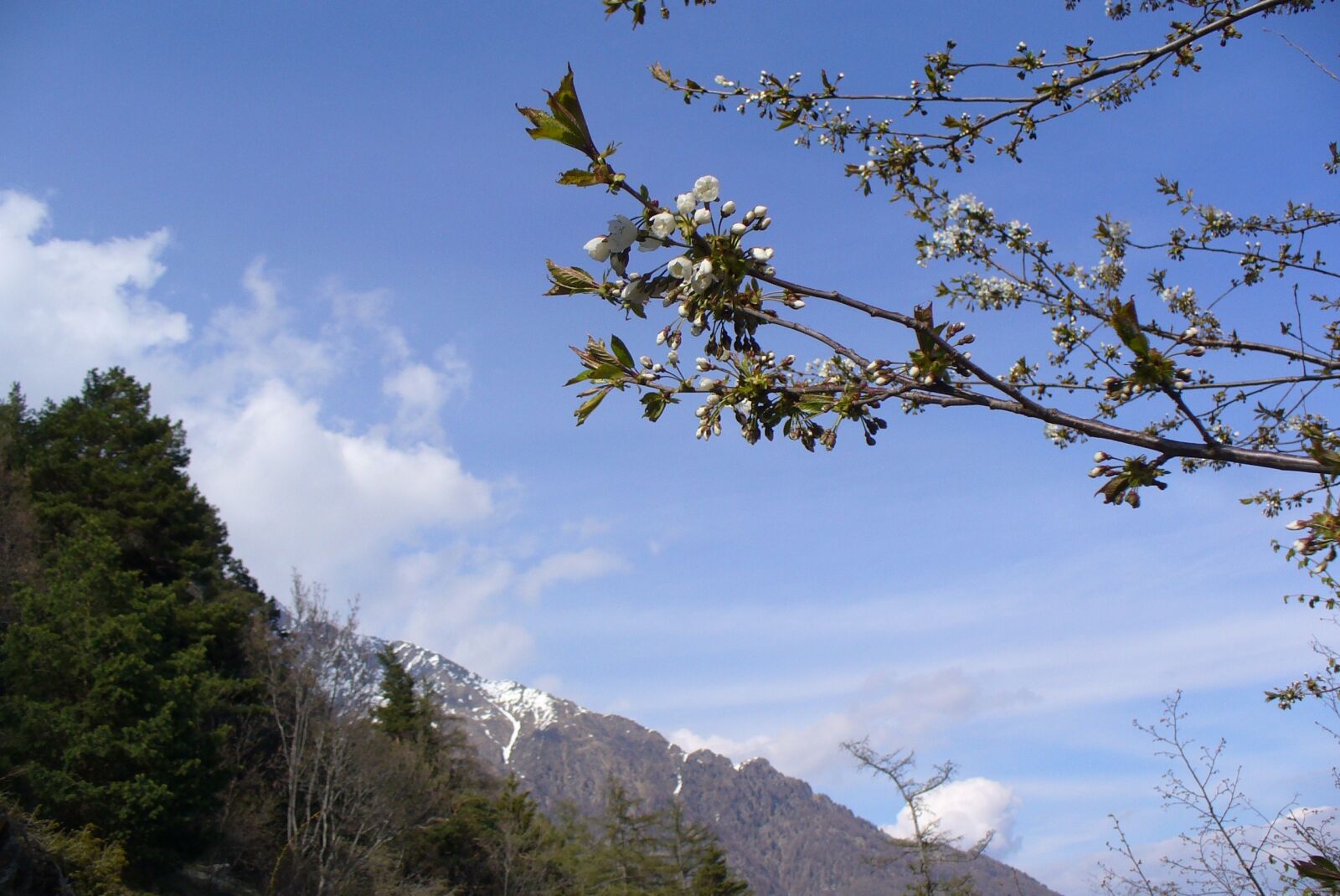 Panasonic DMC-LZ3 sample photo. Tyrol, mountains, spring photography