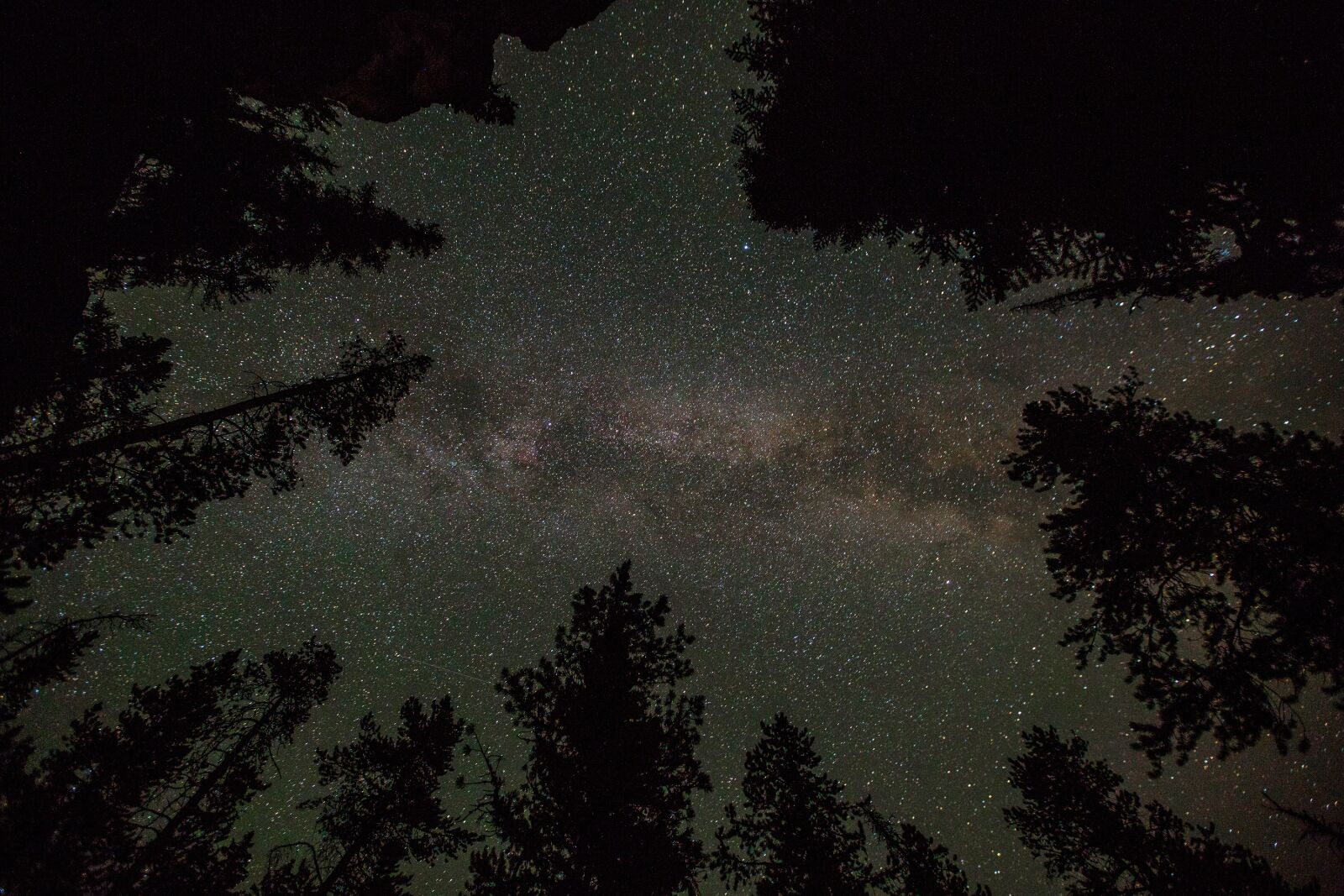 Canon EF 16-35mm F2.8L II USM sample photo. Stars, milky way, night photography