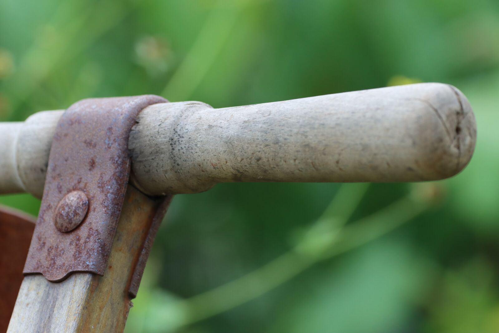 Canon EOS 90D sample photo. Brill, hand lawn mower photography