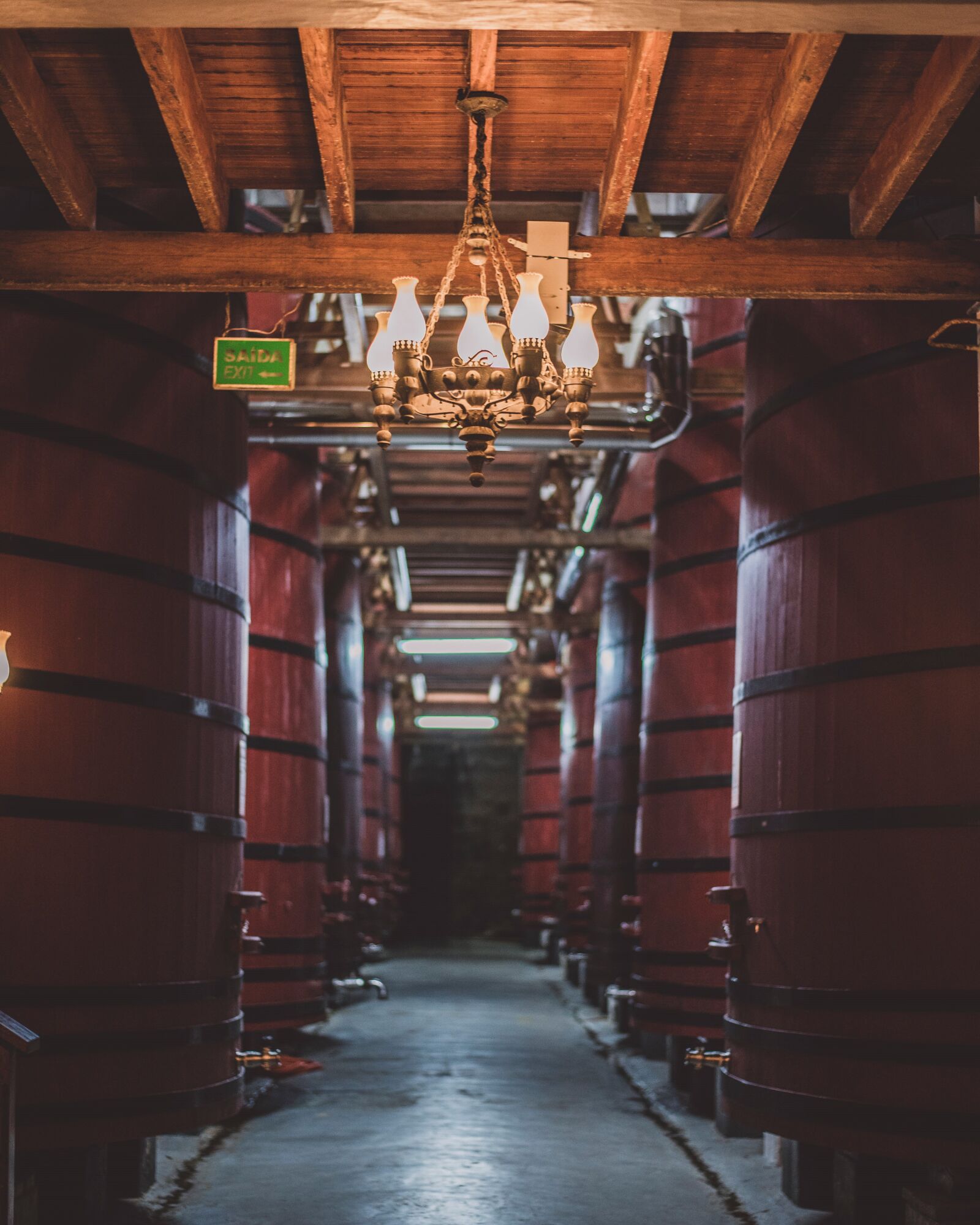 Nikon D750 sample photo. Wine, barrel, cellar photography