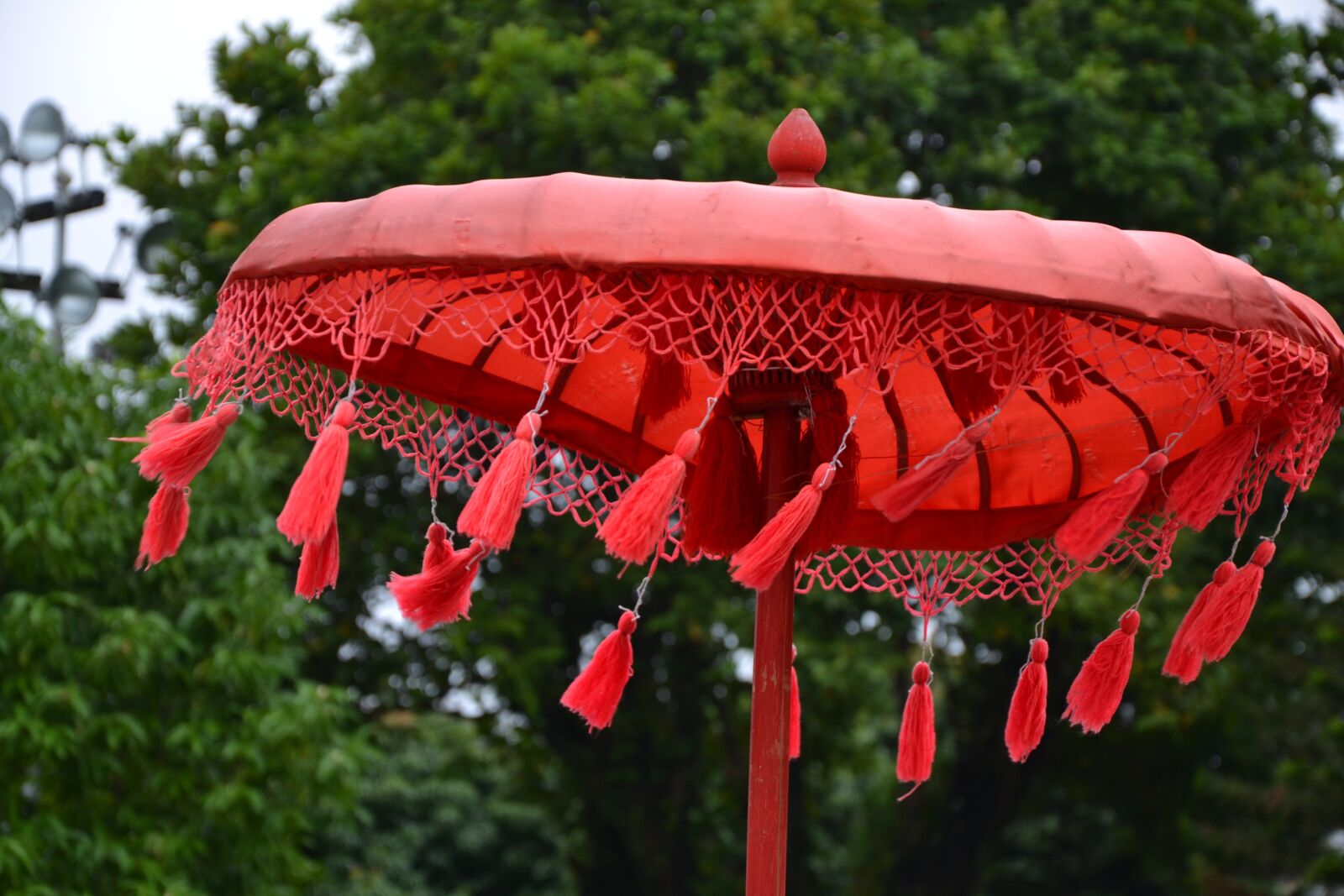 Nikon D3100 sample photo. Screen, red, wind photography
