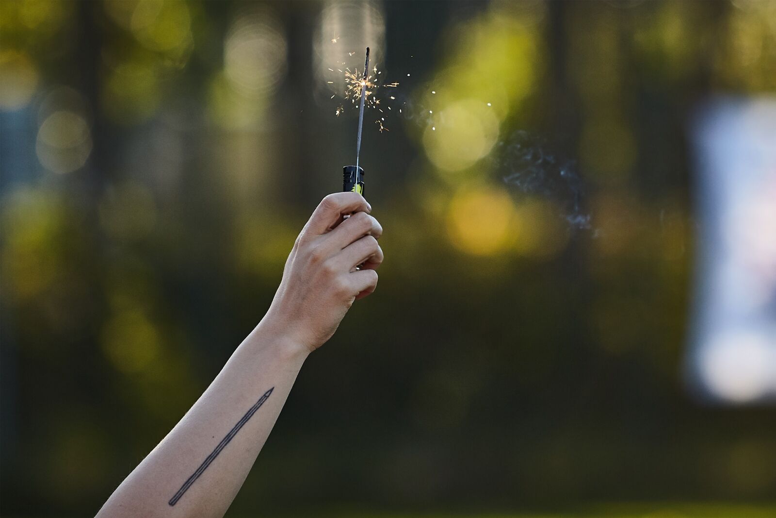 Canon EOS 5D Mark II sample photo. Sparkler, holding, hands photography