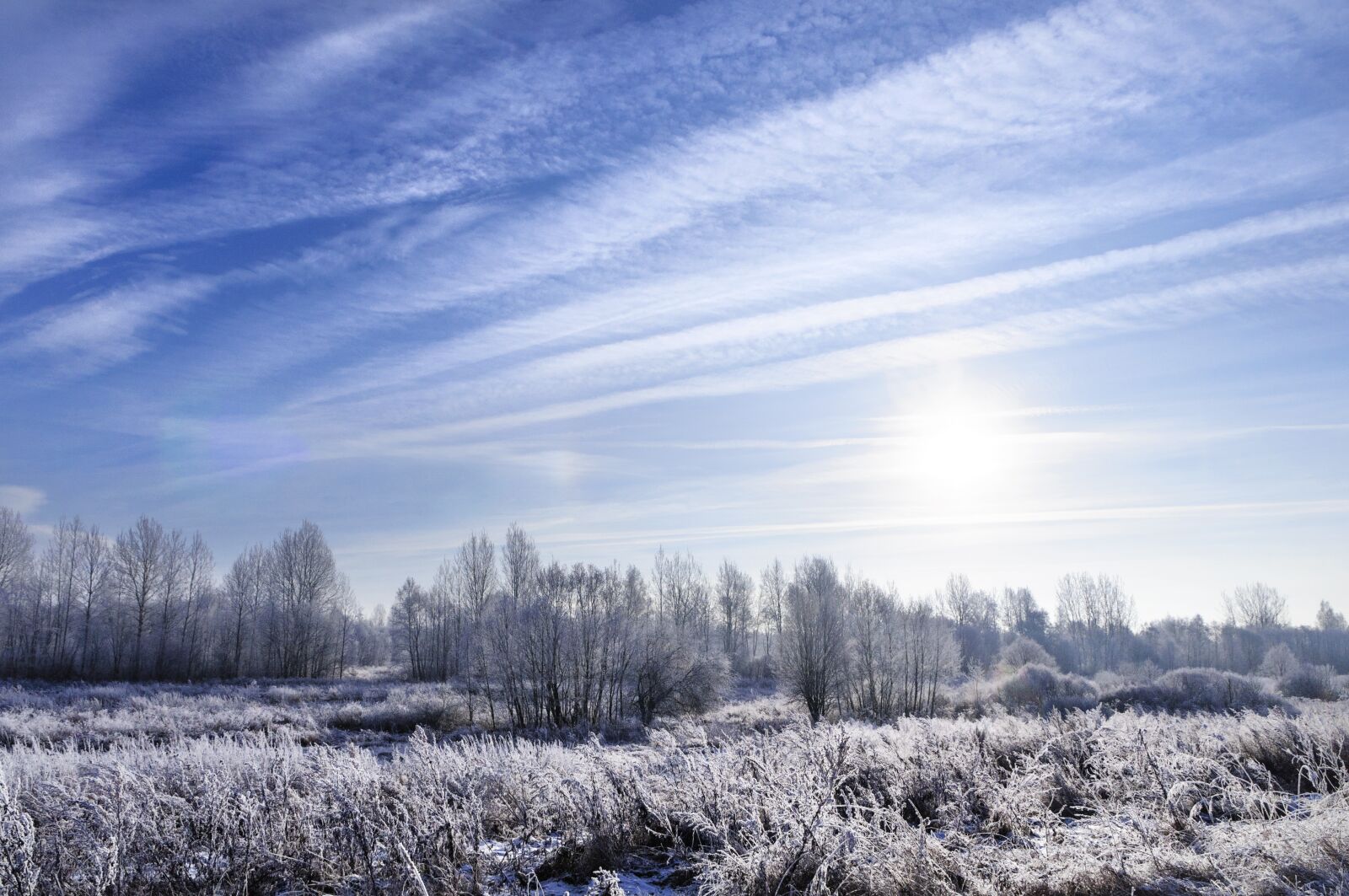 Nikon D5000 sample photo. Landscape, frost, winter photography