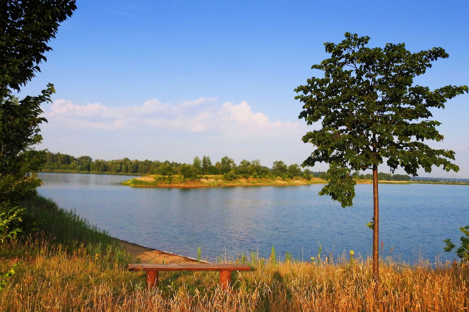 Nikon Coolpix P900 sample photo. Landscape, lake, trees photography