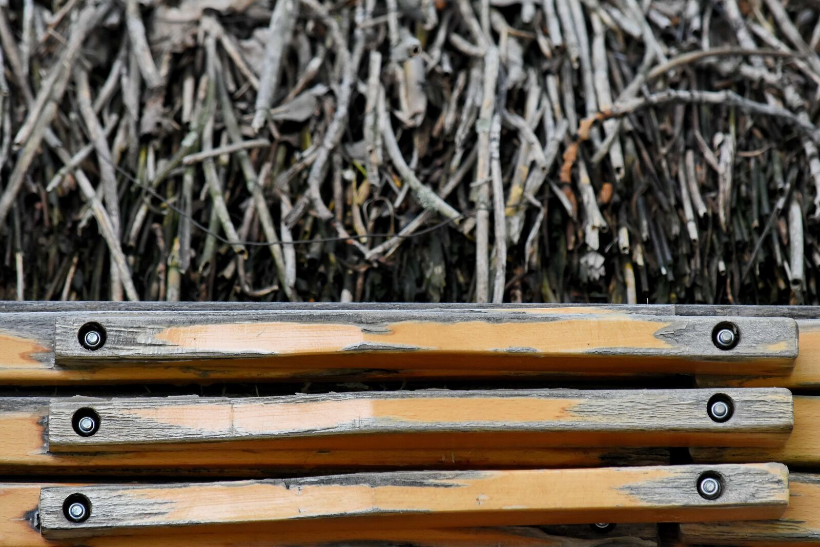 Nikon D5500 sample photo. Carpentry, wood, wooden, texture photography