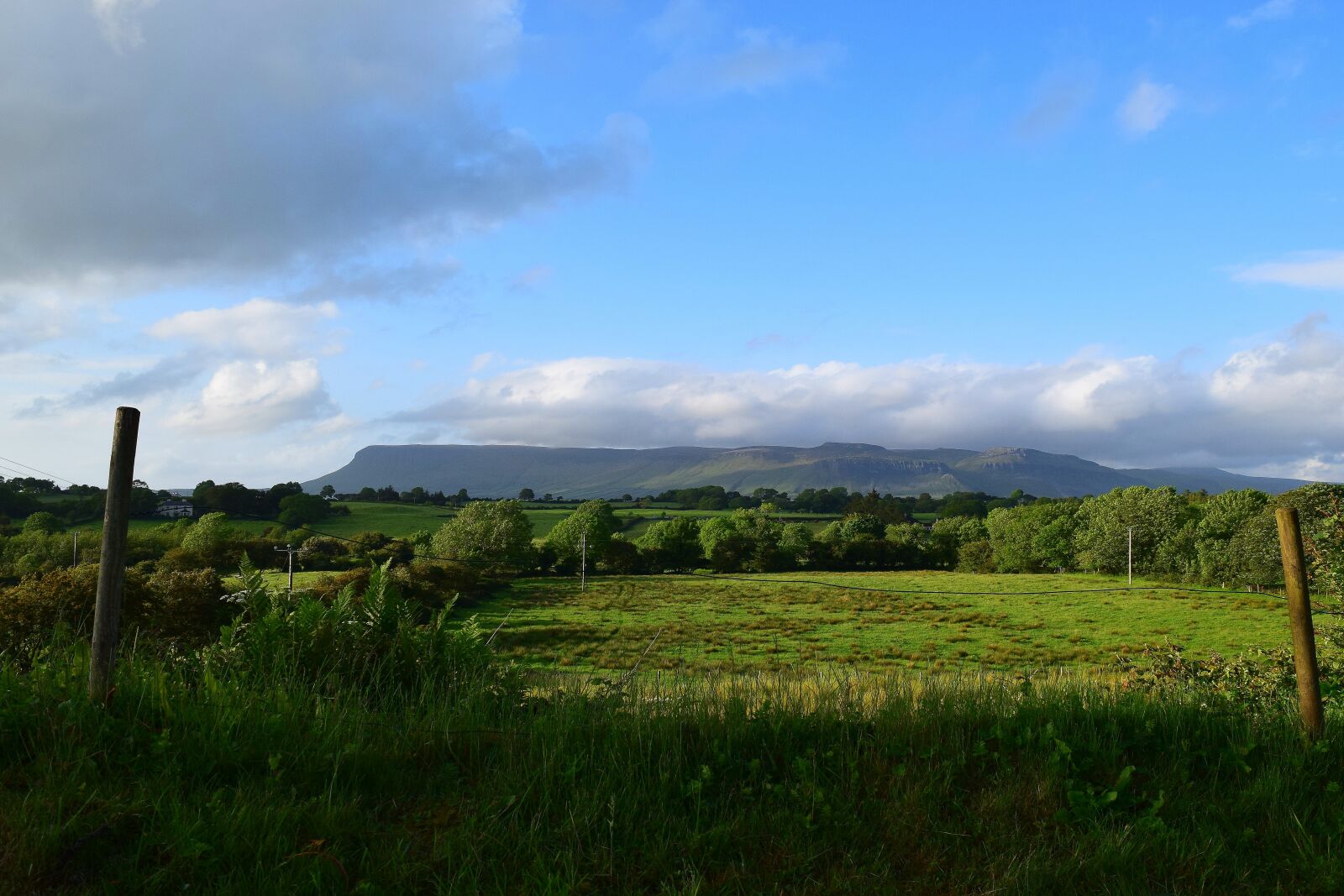 Nikon D5300 sample photo. Nature, landscape, ireland photography