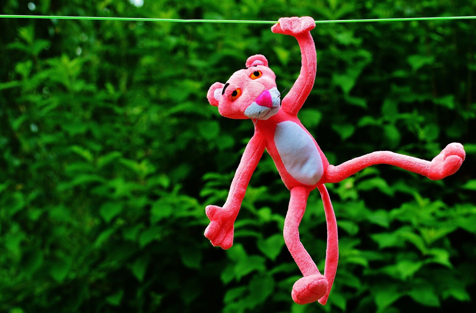 Nikon D3200 sample photo. Hang out, soft toy photography