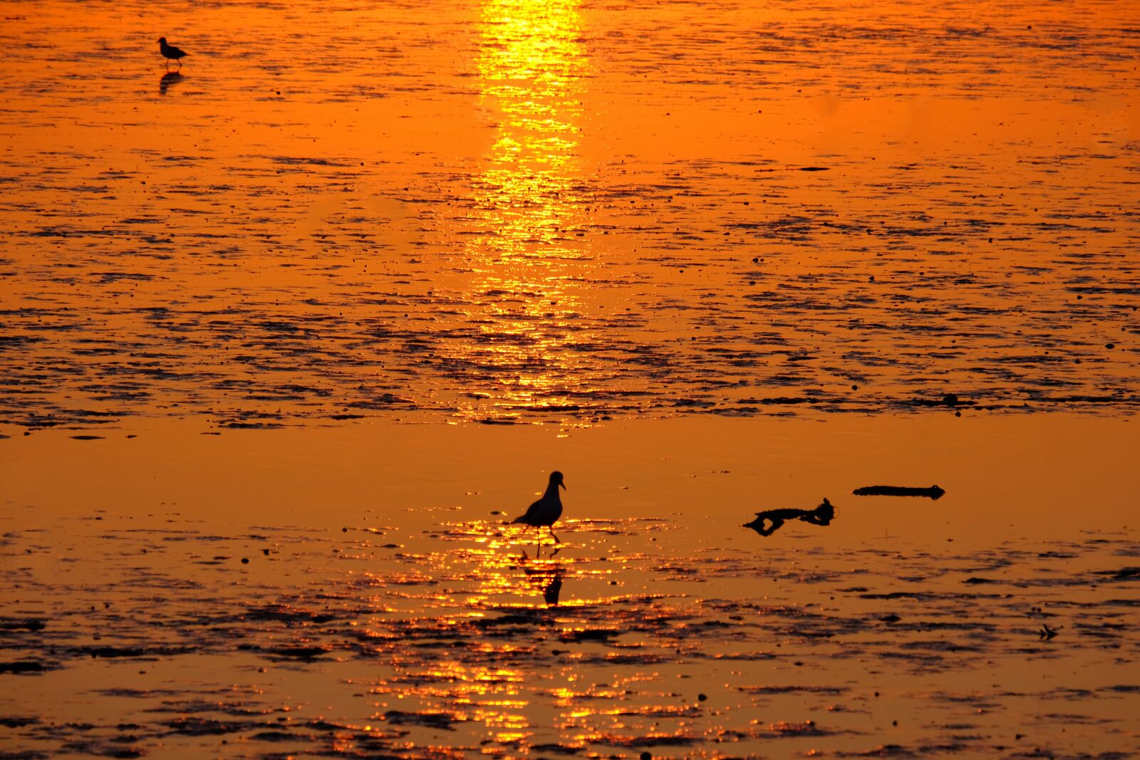 Fujifilm X-T20 sample photo. Sunset, sun, sea photography