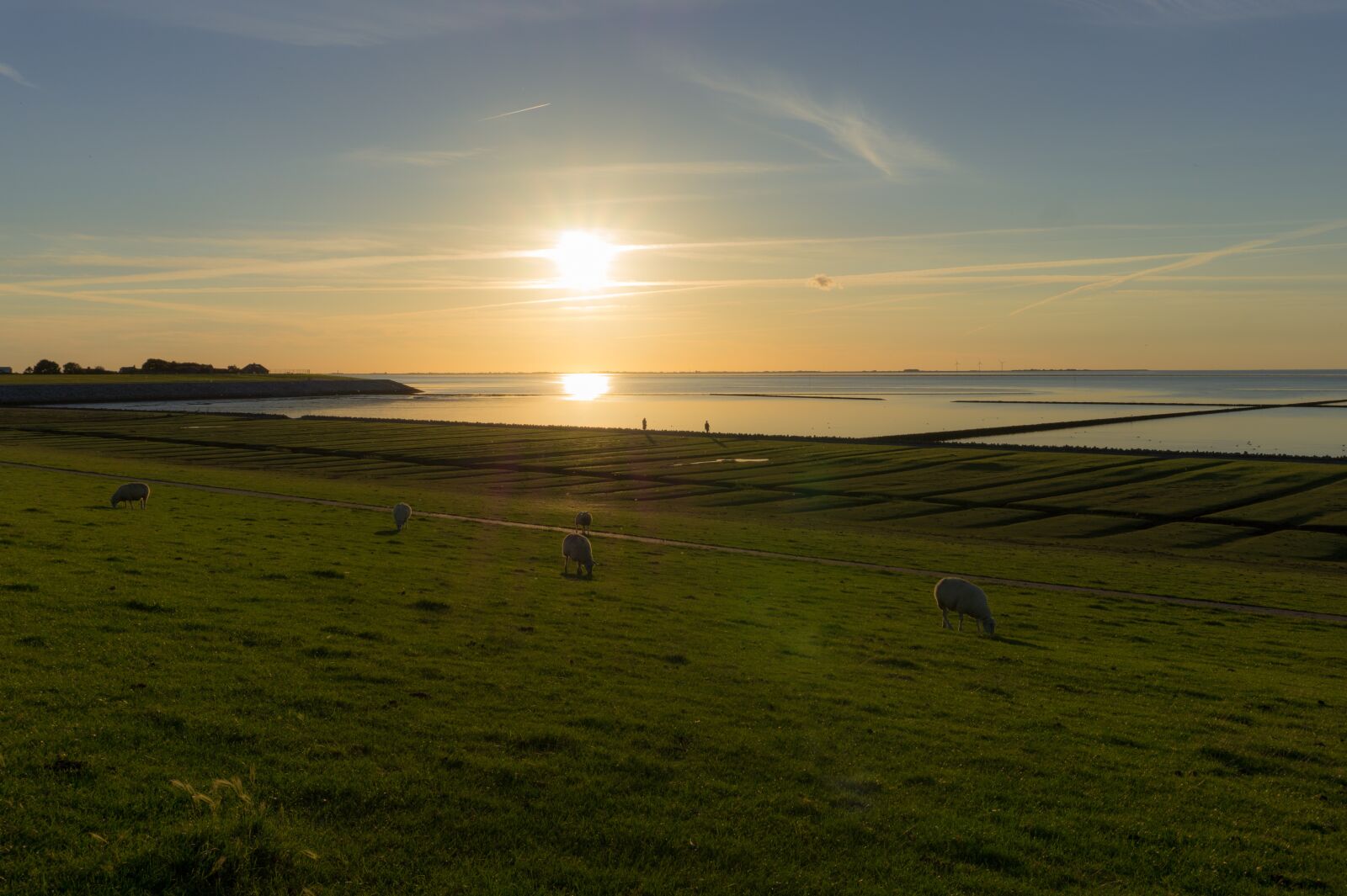Sony Alpha a5000 (ILCE 5000) sample photo. Sunset, dawn, sun photography