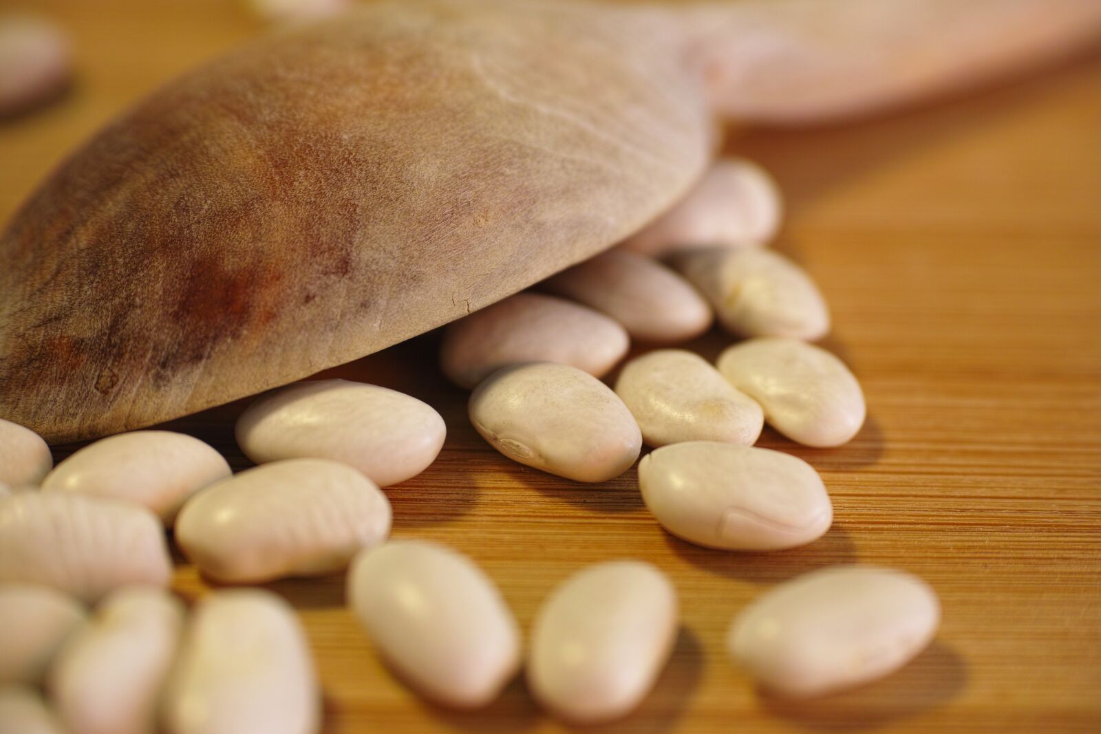 Sigma DP3 Merrill sample photo. Food, beans, dry beans photography