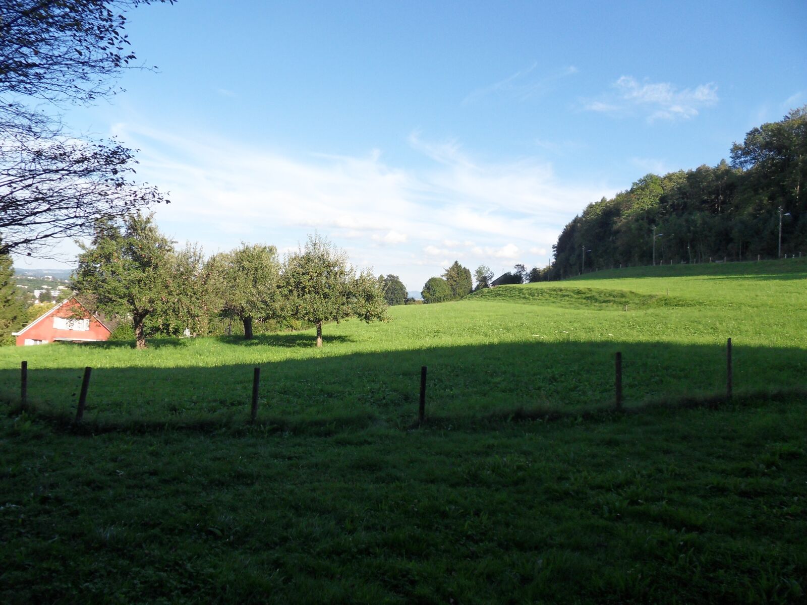 Samsung WB500, WB510 / VLUU WB500 /  HZ10W sample photo. Meadow, sun, with clouds photography