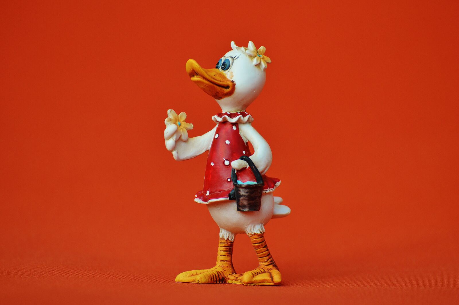Nikon D3200 sample photo. Duck, funny, floral photography