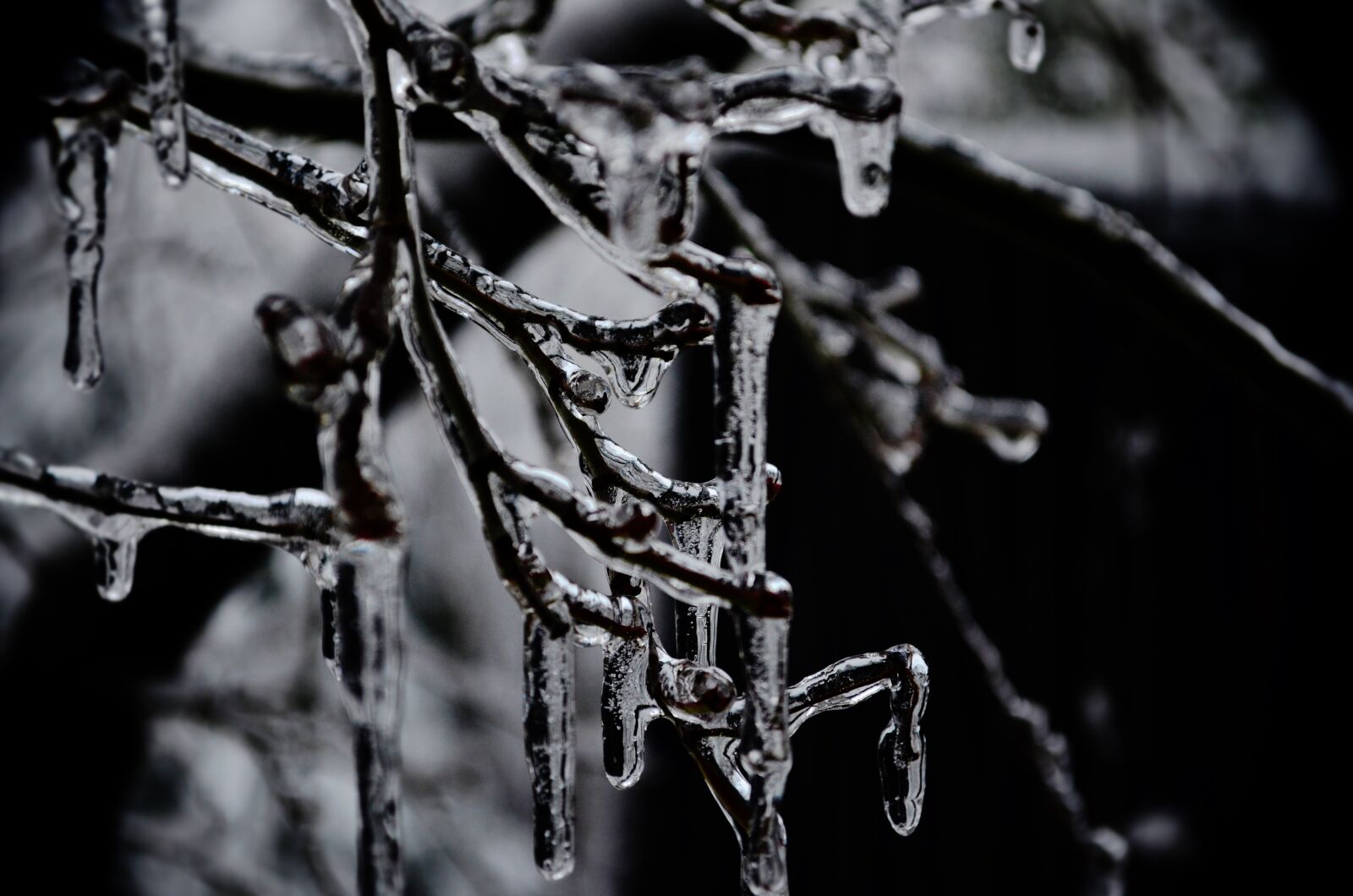 Nikon D5100 sample photo. Ice, winter, snow photography