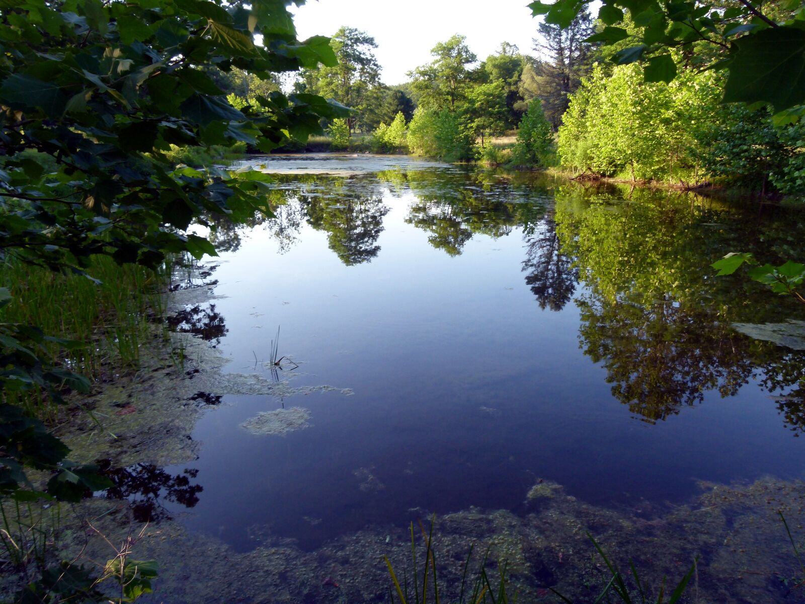 Panasonic Lumix DMC-FZ100 sample photo. Lake, reflection, trees photography