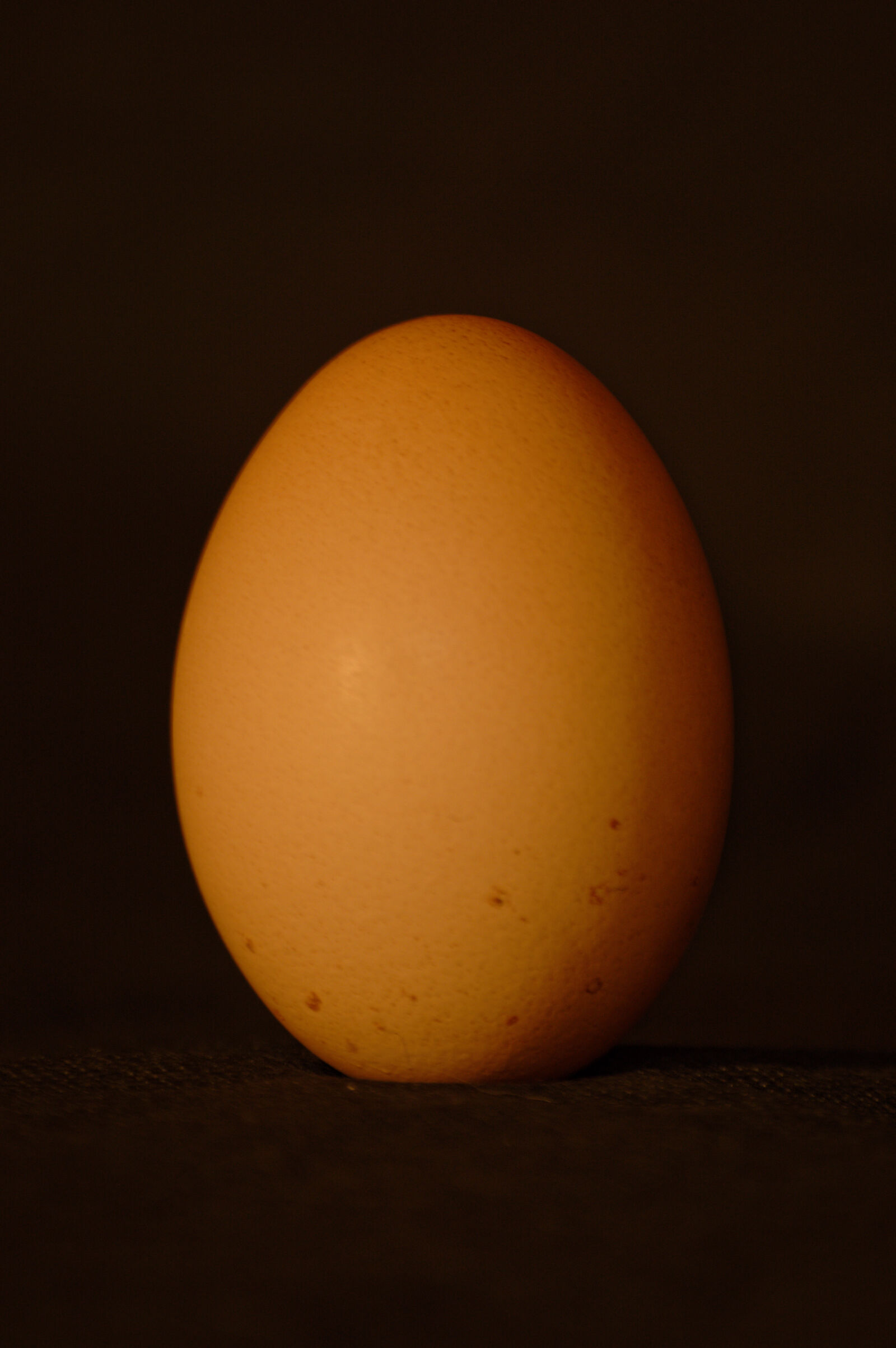 Nikon D3200 sample photo. Egg, food, still, life photography