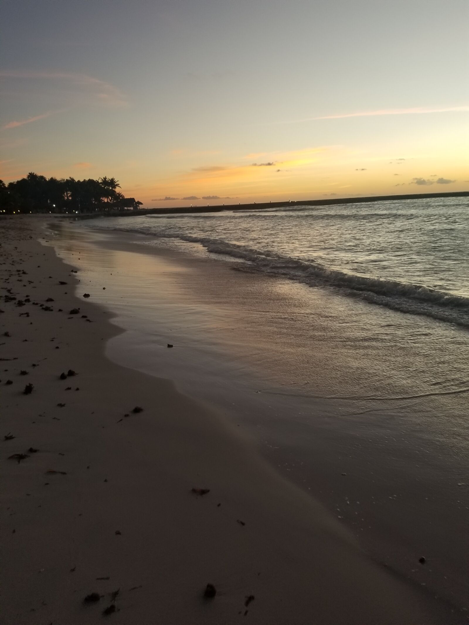 Samsung Galaxy S8+ sample photo. Nature, vacation, aruba photography