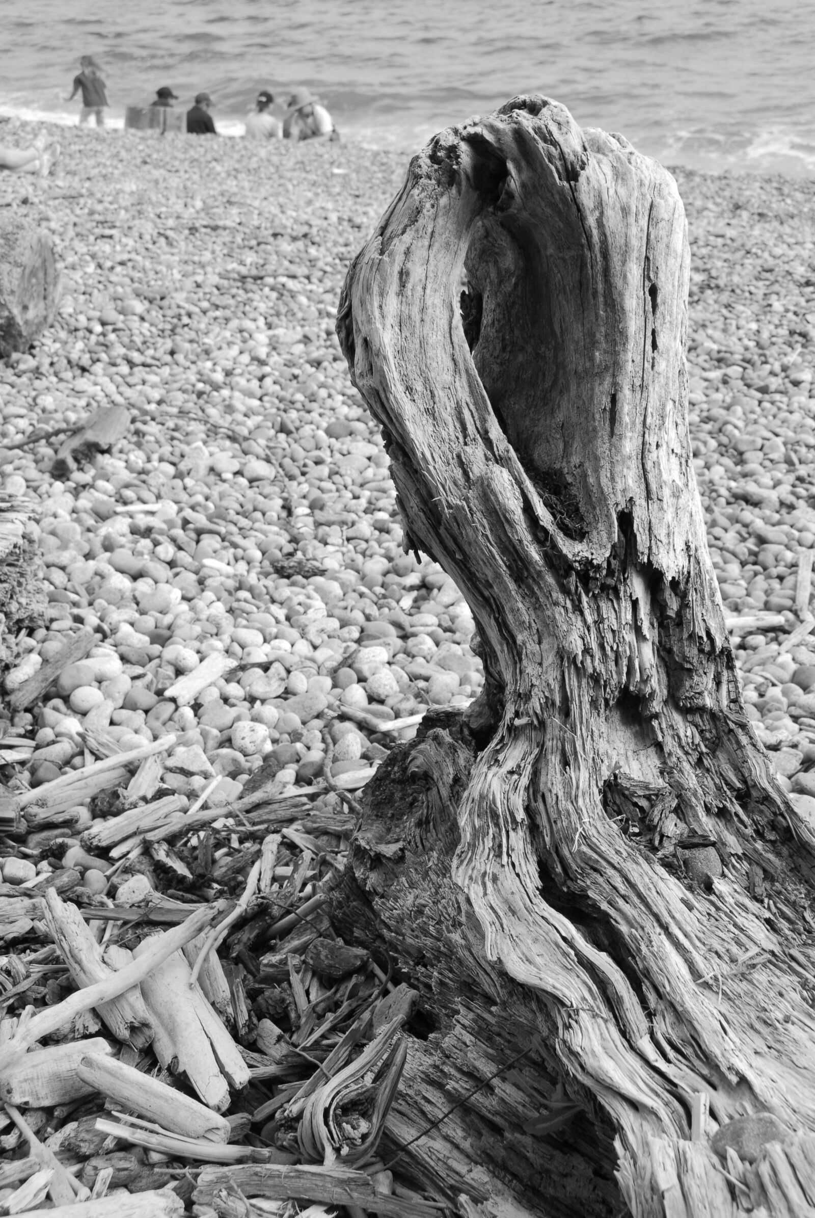 Nikon D200 sample photo. Beach, ocean, wood photography